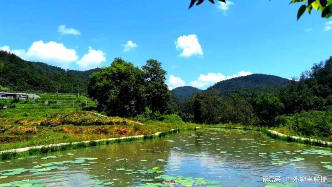 近日微博推广定制化开发您的网络平台,开启流量增长新征程,快手24小时自助点赞下单诚信：快手点赞服务快速下单稳定信誉
